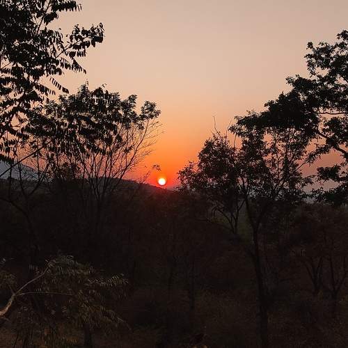 Sunrise in a forest trek