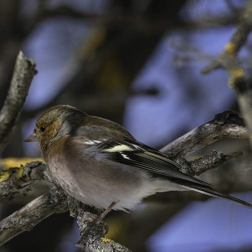 Photo #8864424