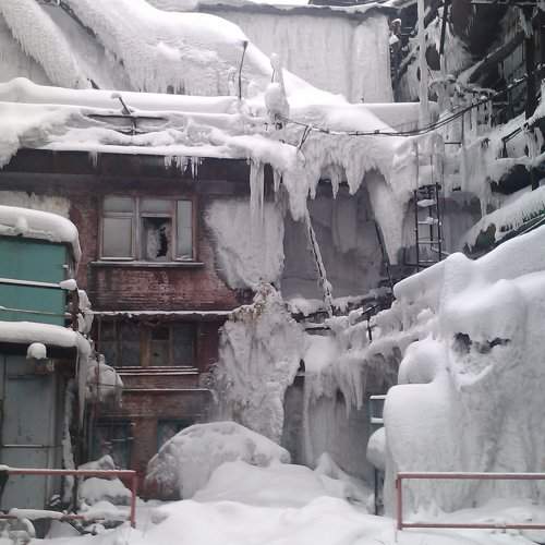 Photo #8864740