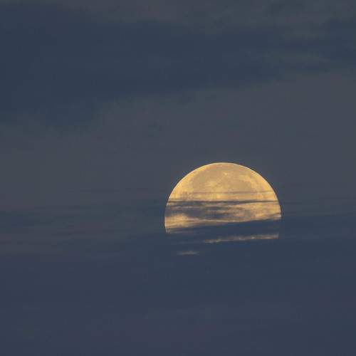 Photo #8864784