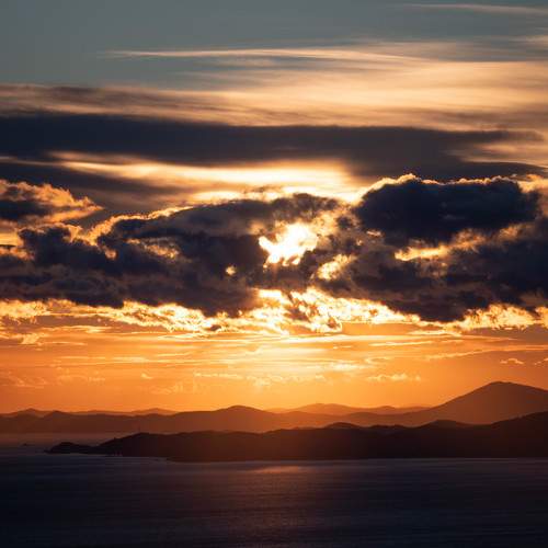 Photo #8864833