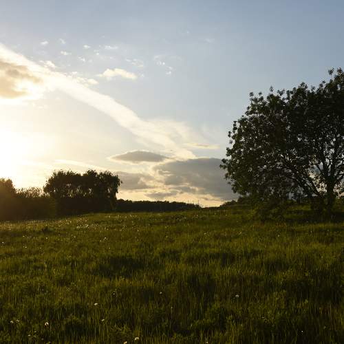 Photo #8865247