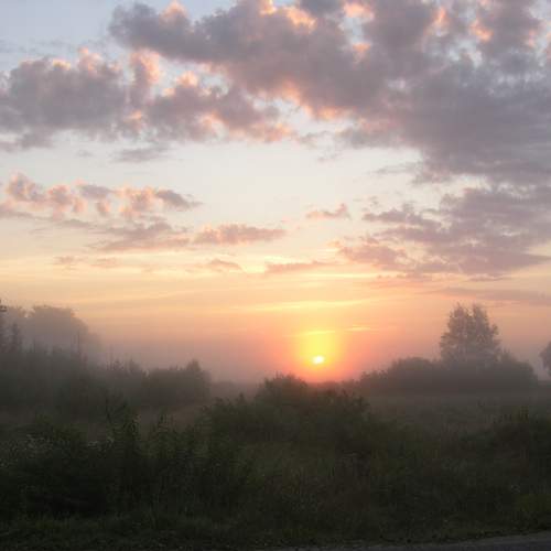 Photo #8865253