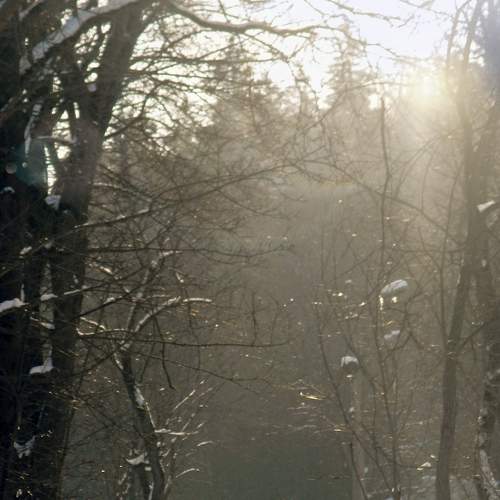 Photo #8865411