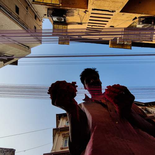 Photo #8865599