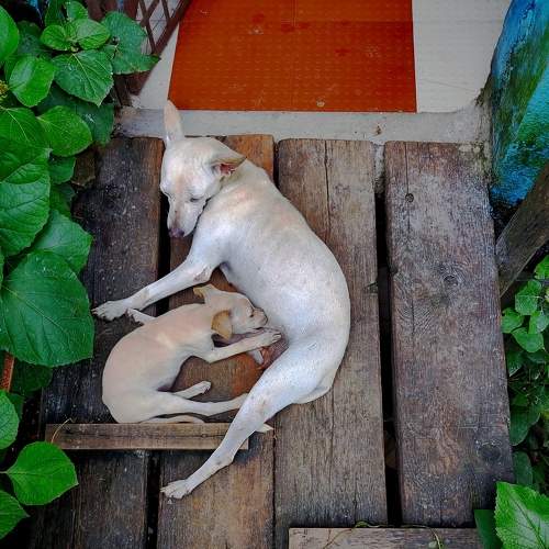 Photo #8865604