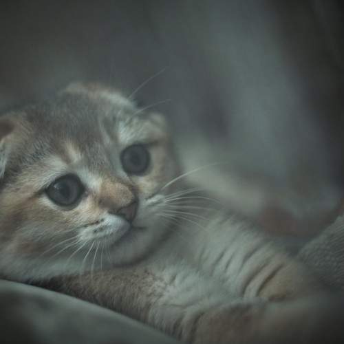 Photo #8866052