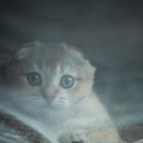 Photo #8866055