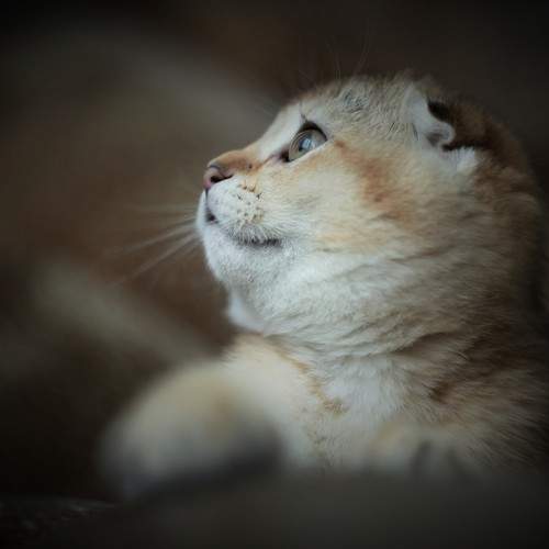 Photo #8866064