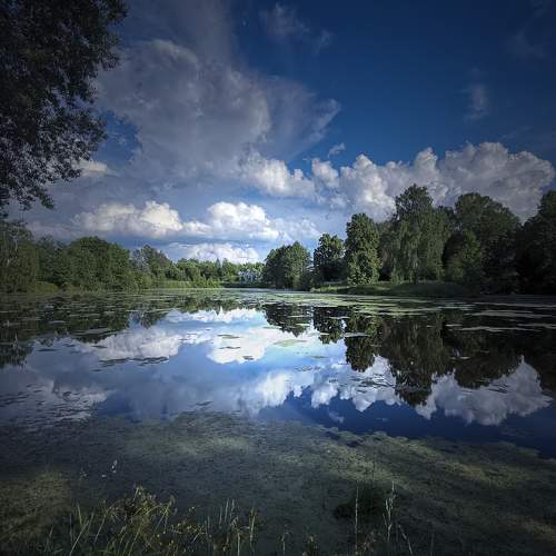 Photo #8866387