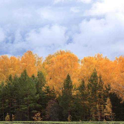 Photo #8866435
