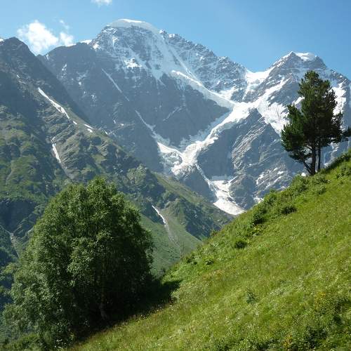 Photo #8866812