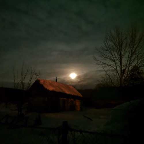 Photo #8867332
