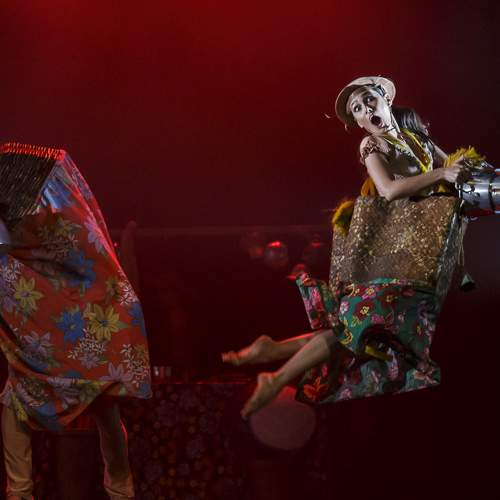 Photo #8867688