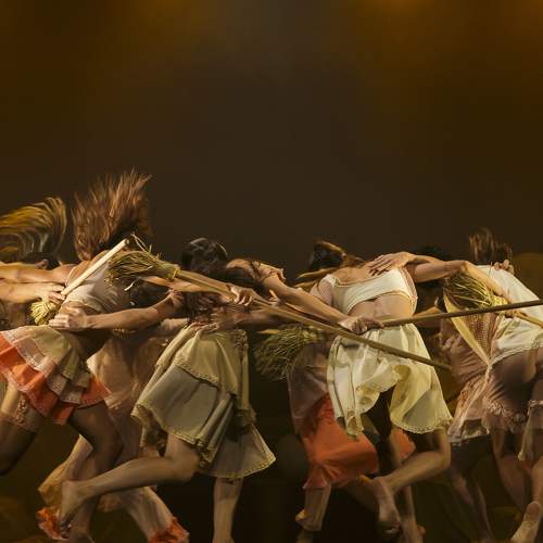 Photo #8867701