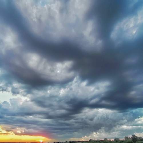 Photo #8867764