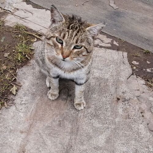 Photo #8868036