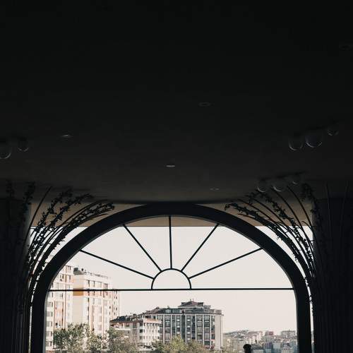 Photo #8868214