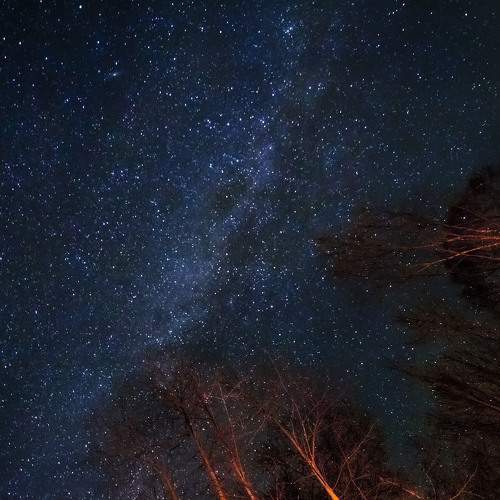 Photo #8868236