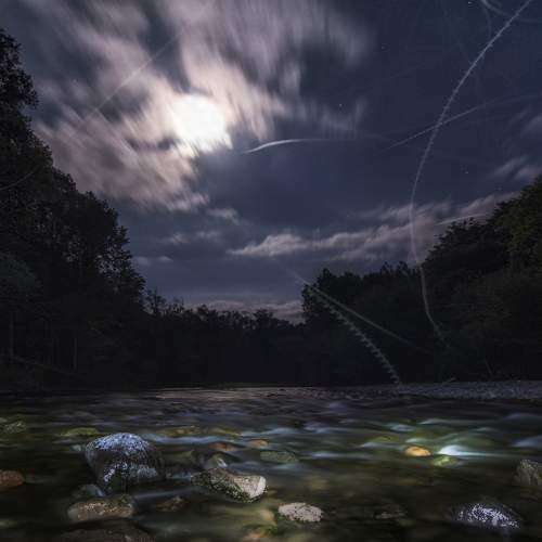 Photo #8868242