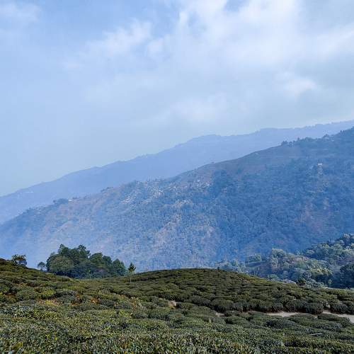 Photo #8868402