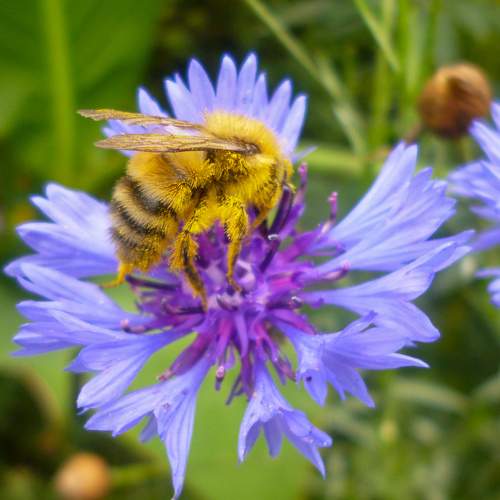 Photo #8868431