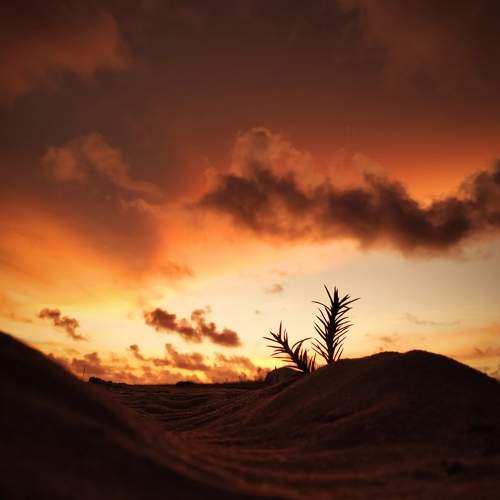 Photo #8868489