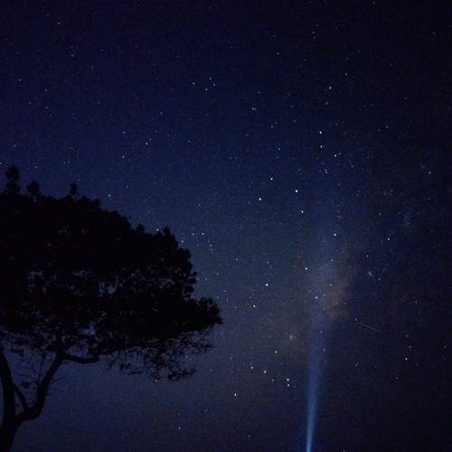 Photo #8868495