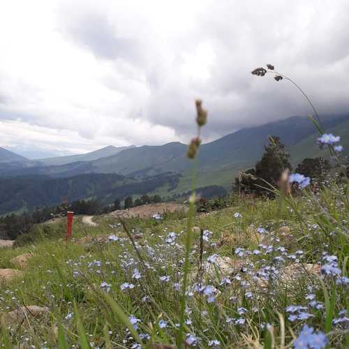 Photo #8868829
