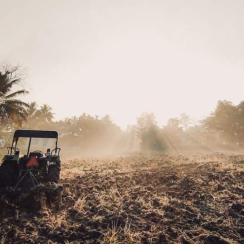 Photo #8868883