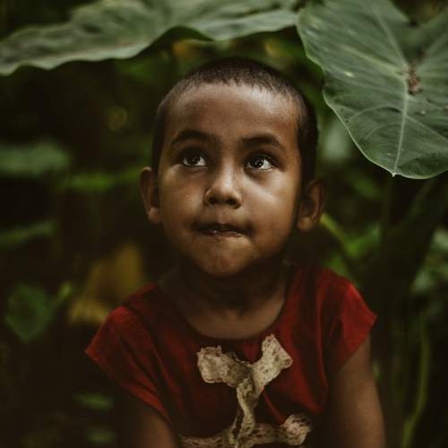 Photo #8869071