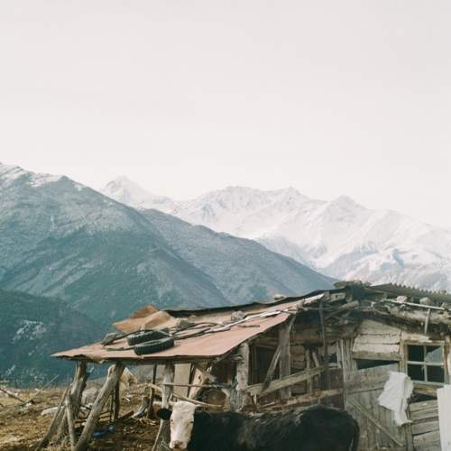 Photo #8869300