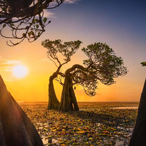 Walakiri Beach Sunset
