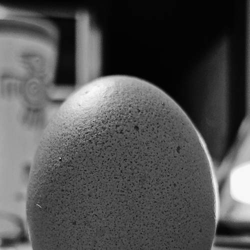 Photo #8869612