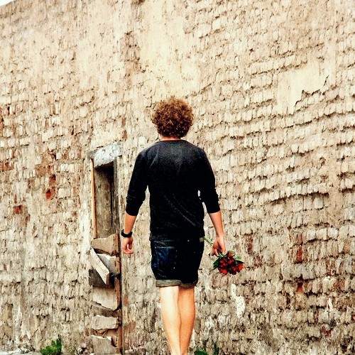 Photo #8869908