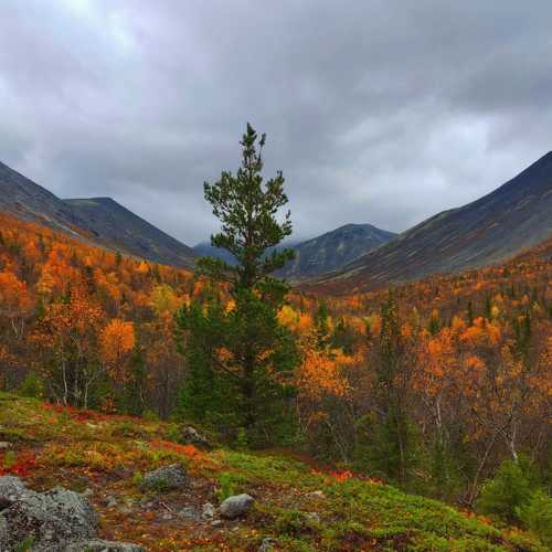 Прекрасные Хибины