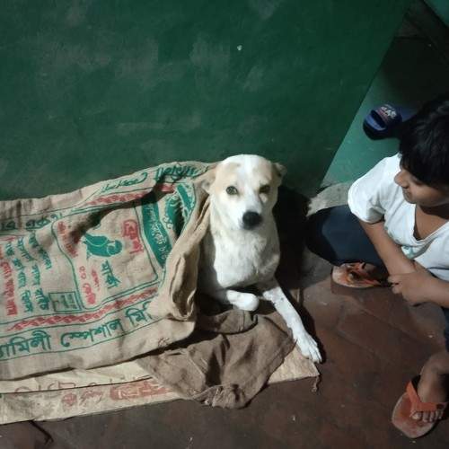 Photo #8870640