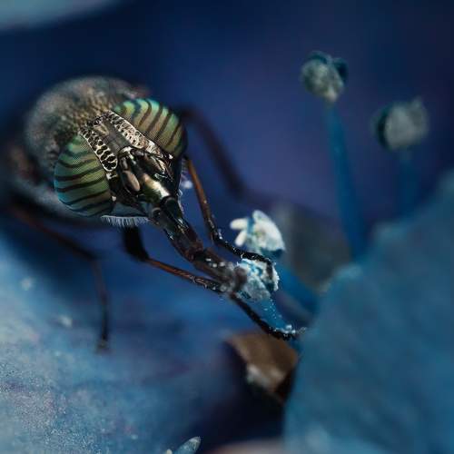 Photo #8870654