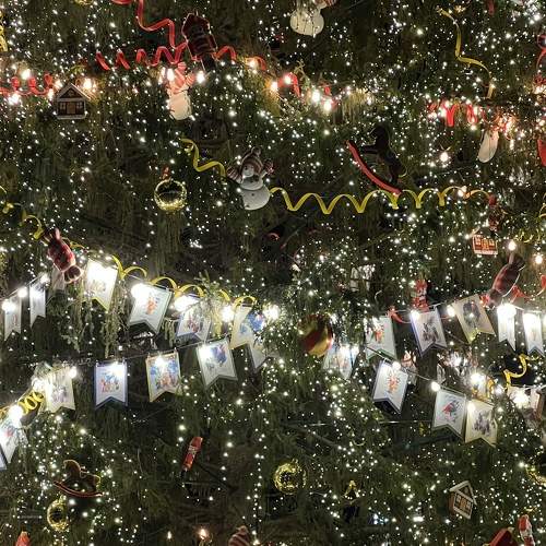 Photo #8870694