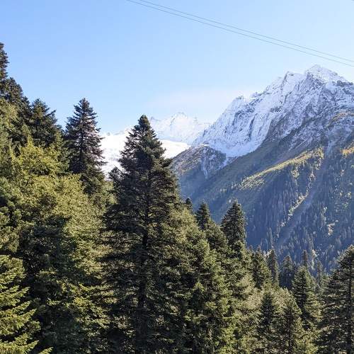 Photo #8870870