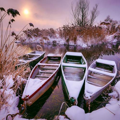 Photo #8870891