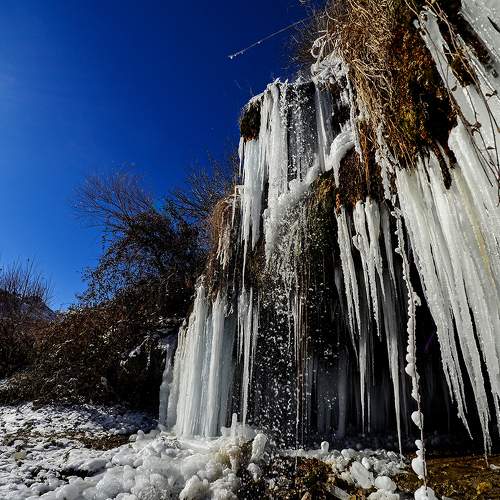 Photo #8871035