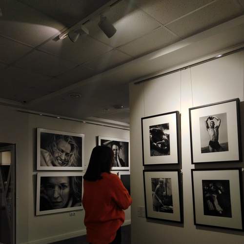 Photo #8871511