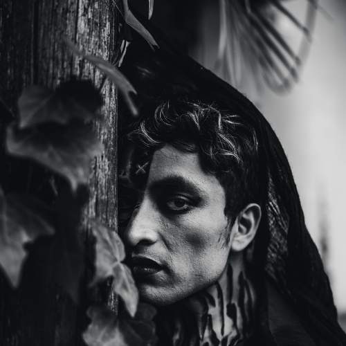 Photo #8871797