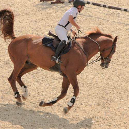 Photo #8871882