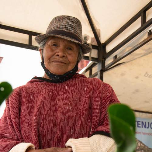 Photo #8872029