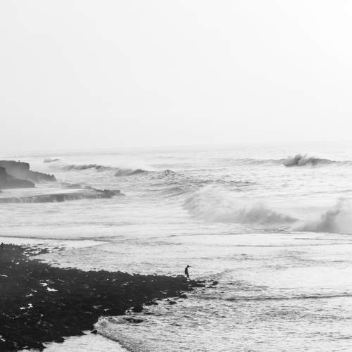 Photo #8872066