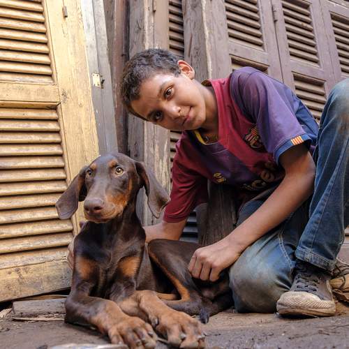 Photo #8872496