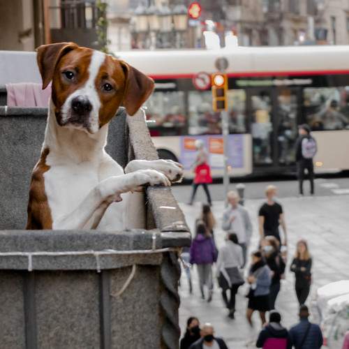 Photo #8872789