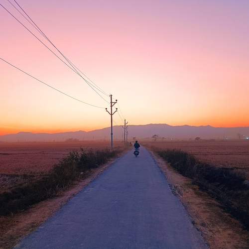 Photo #8873077